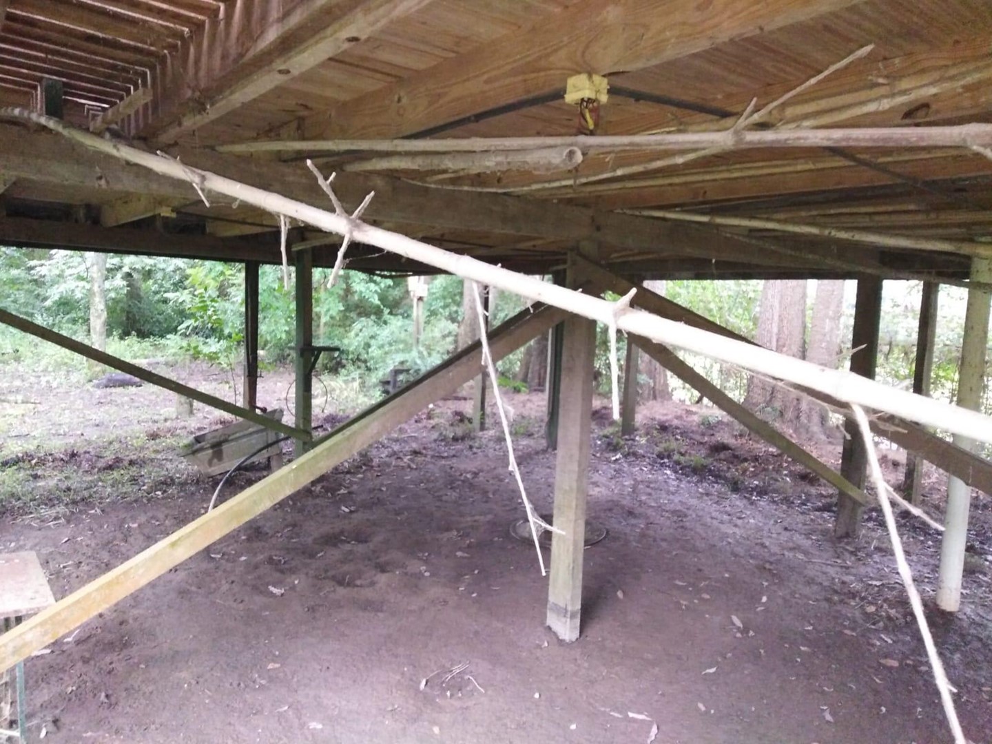 image 14