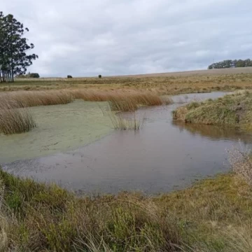 Chacra en Venta en Camino a Laguna del Sauce, Maldonado