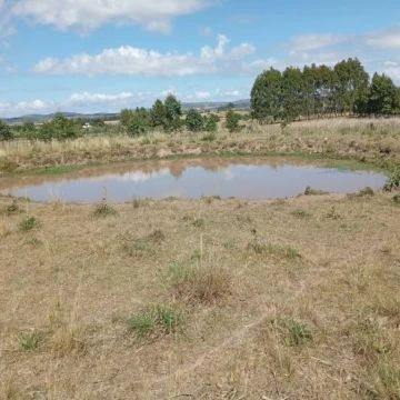Chacra en venta Ruta 39, San Carlos Uruguay