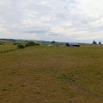Chacra en Venta, San Carlos, Uruguay