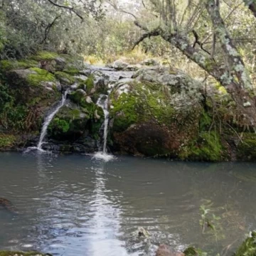 Hermosa Chacra en venta en San Carlos, Uruguay