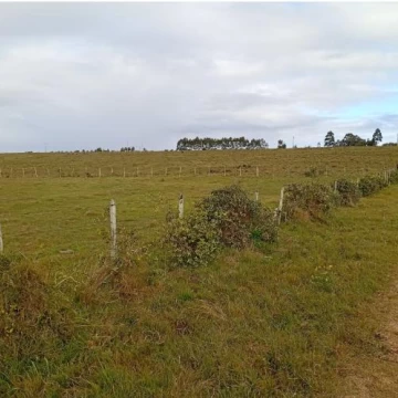 Venta campo en San Carlos por Camino Paso La Cantera, Uruguay