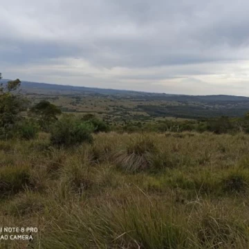 Chacra en venta con Arroyo, San Carlos Uruguay