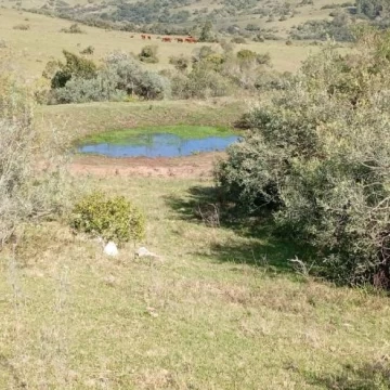 Chacra en venta en Sierra de Carapé, Uruguay