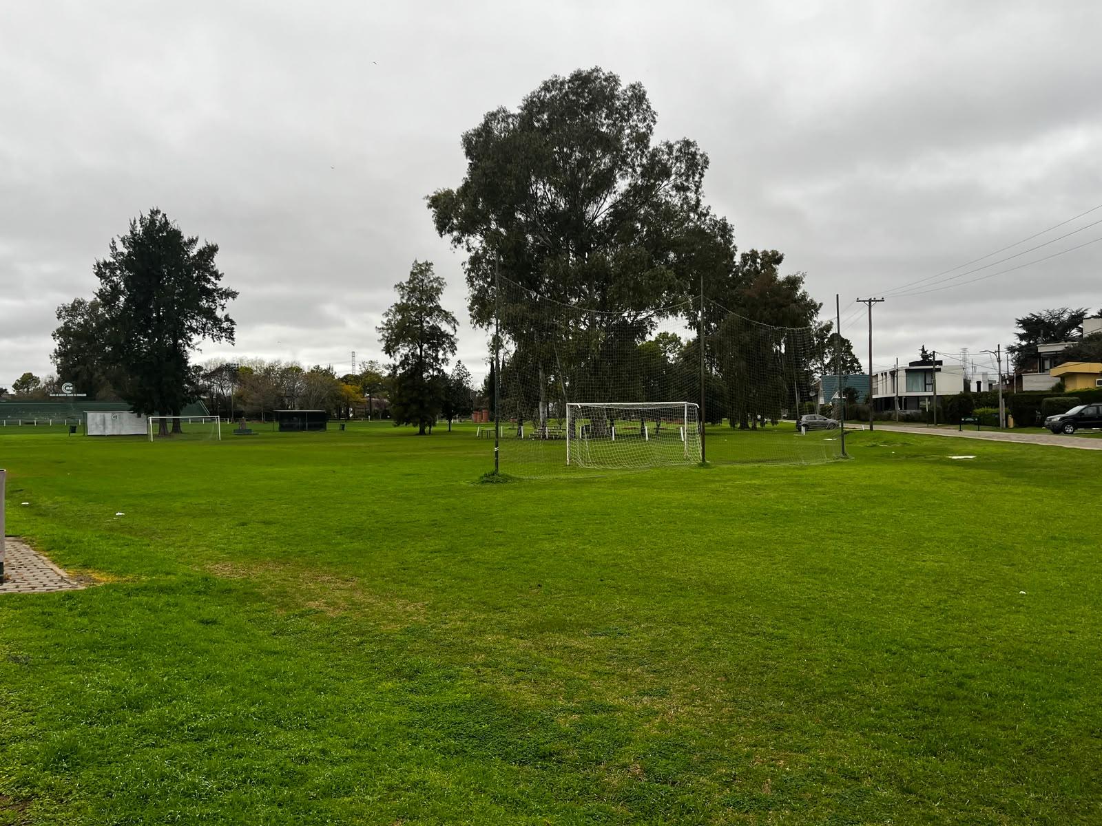 image 36