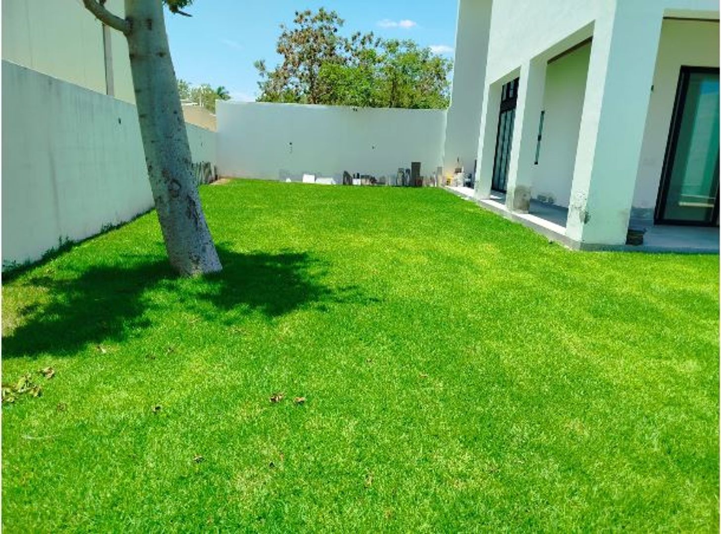 JARDIN POSTERIOR.JPG