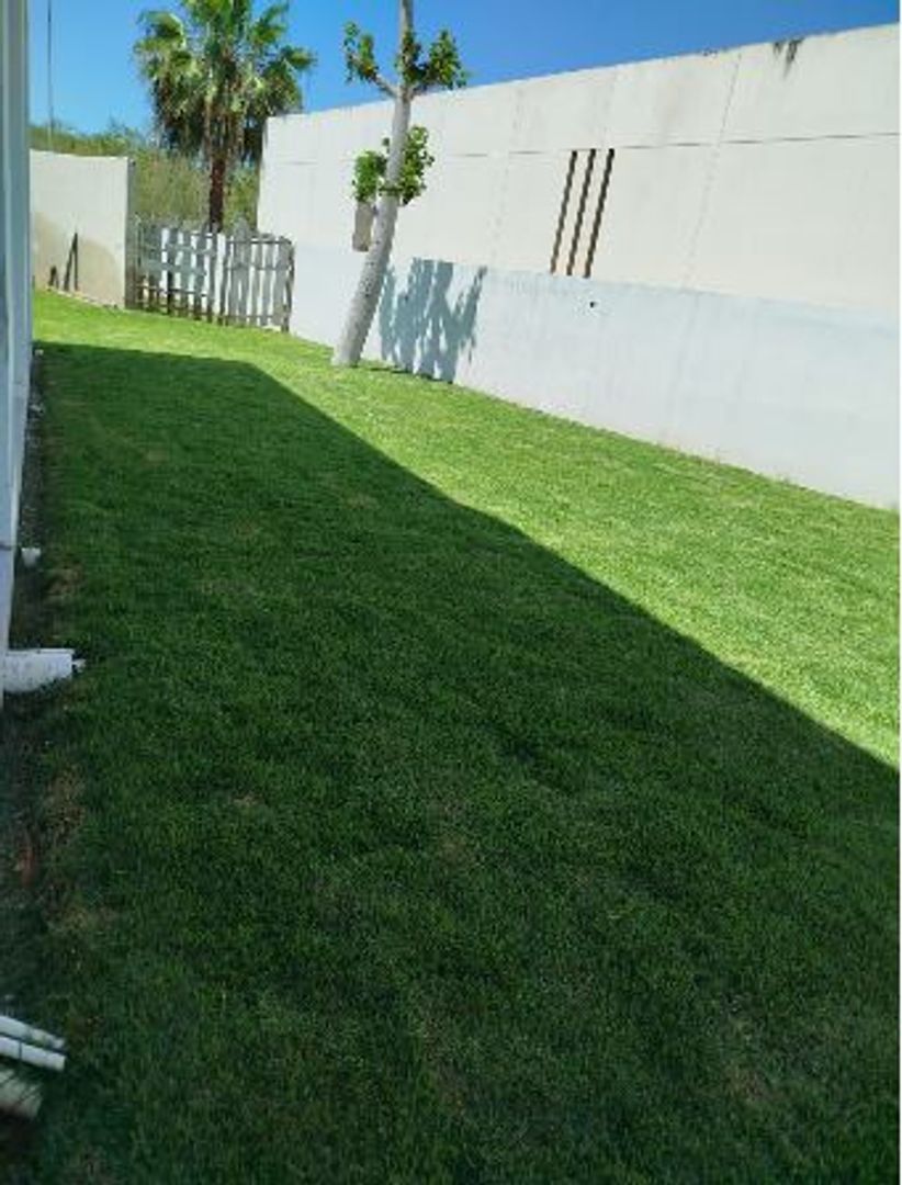 JARDIN.JPG