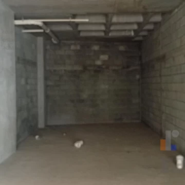 1786223841.jpg