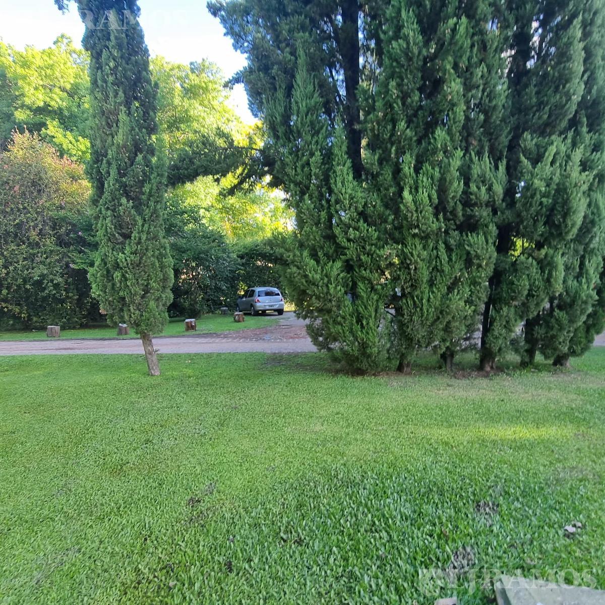 image 17