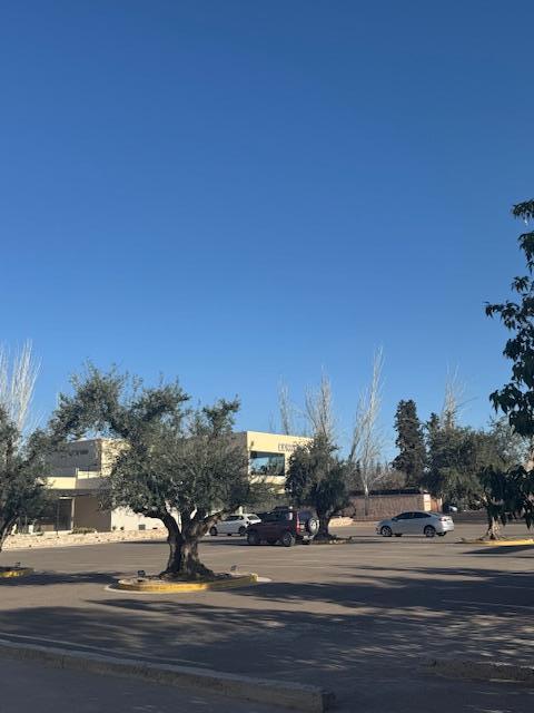 image 25