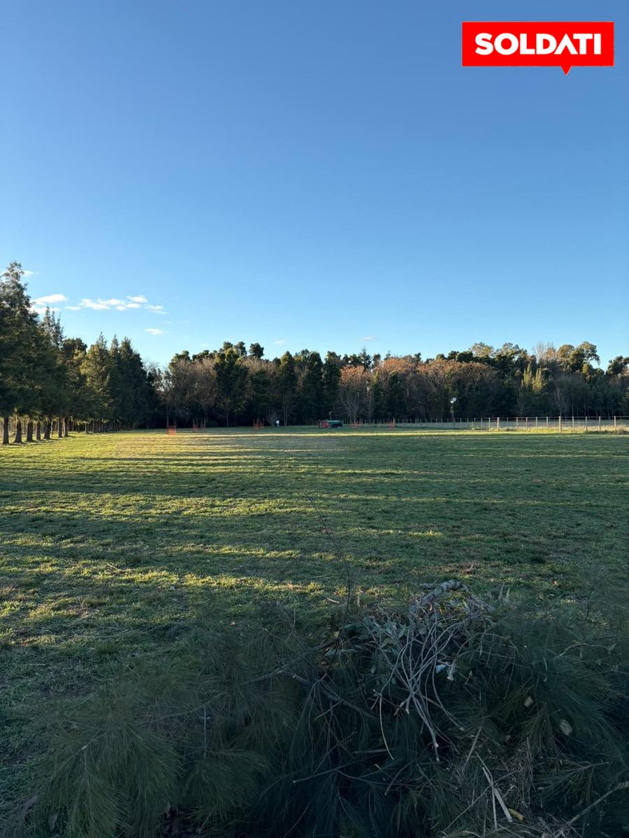 image 14