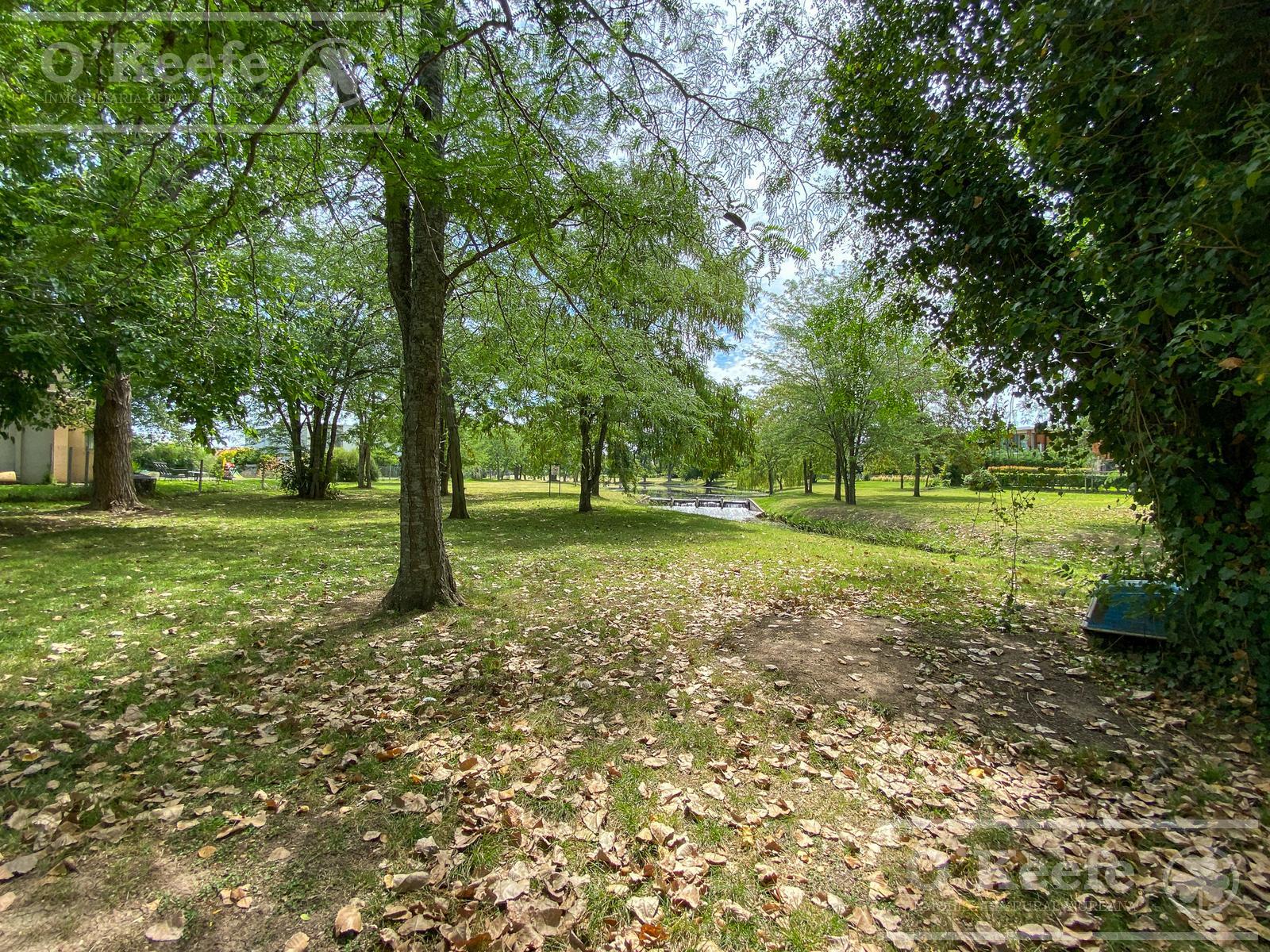 image 36