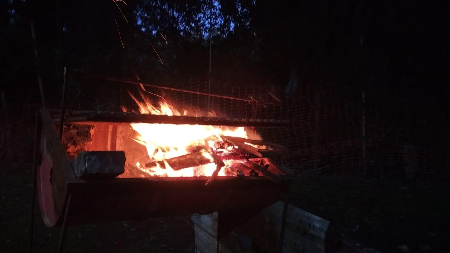 Fogon Nocturno