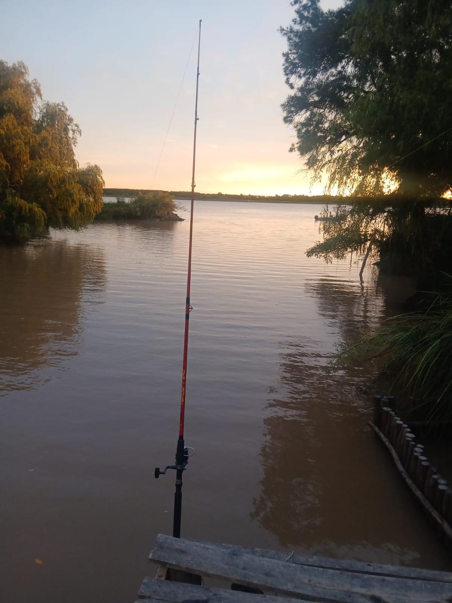 Todo PAz y Naturaleza