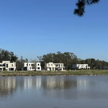 1786396581.jpg