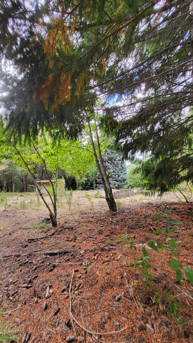 image 13
