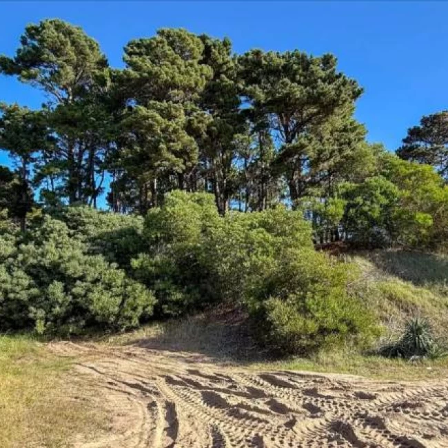 VENTA TERRENO MAR DE LAS PAMPAS