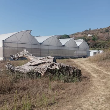 Terreno en Venta en Malinalco