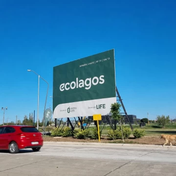 ECOLAGOS - Lote
