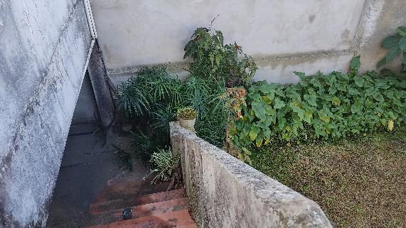 image 29