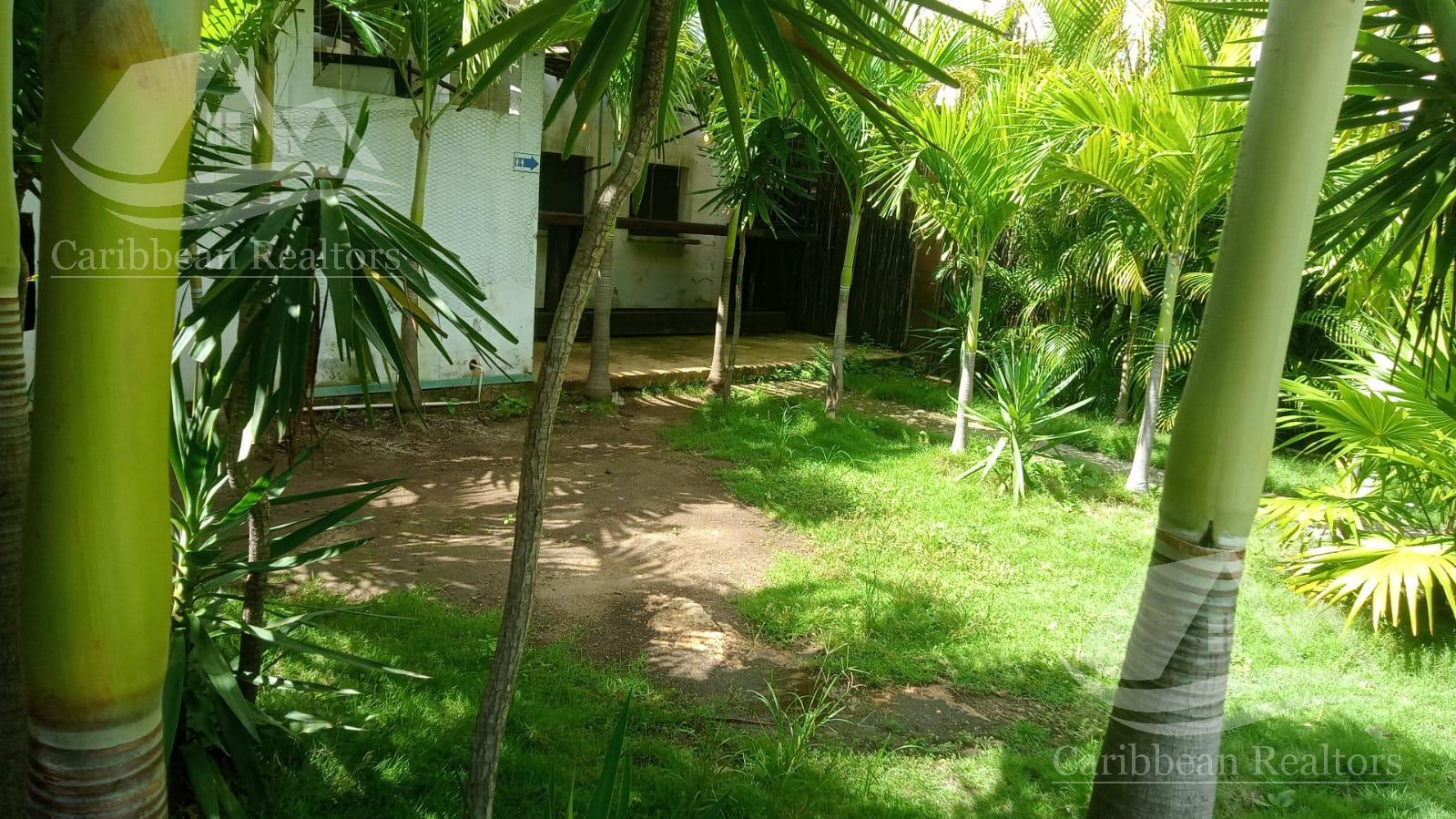 image 14