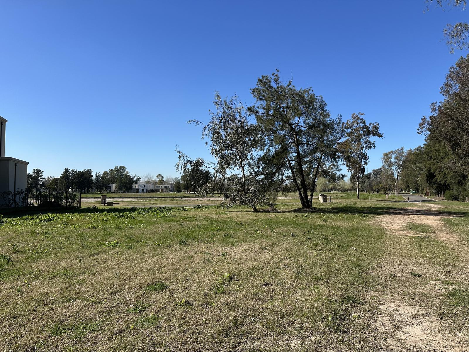 image 23