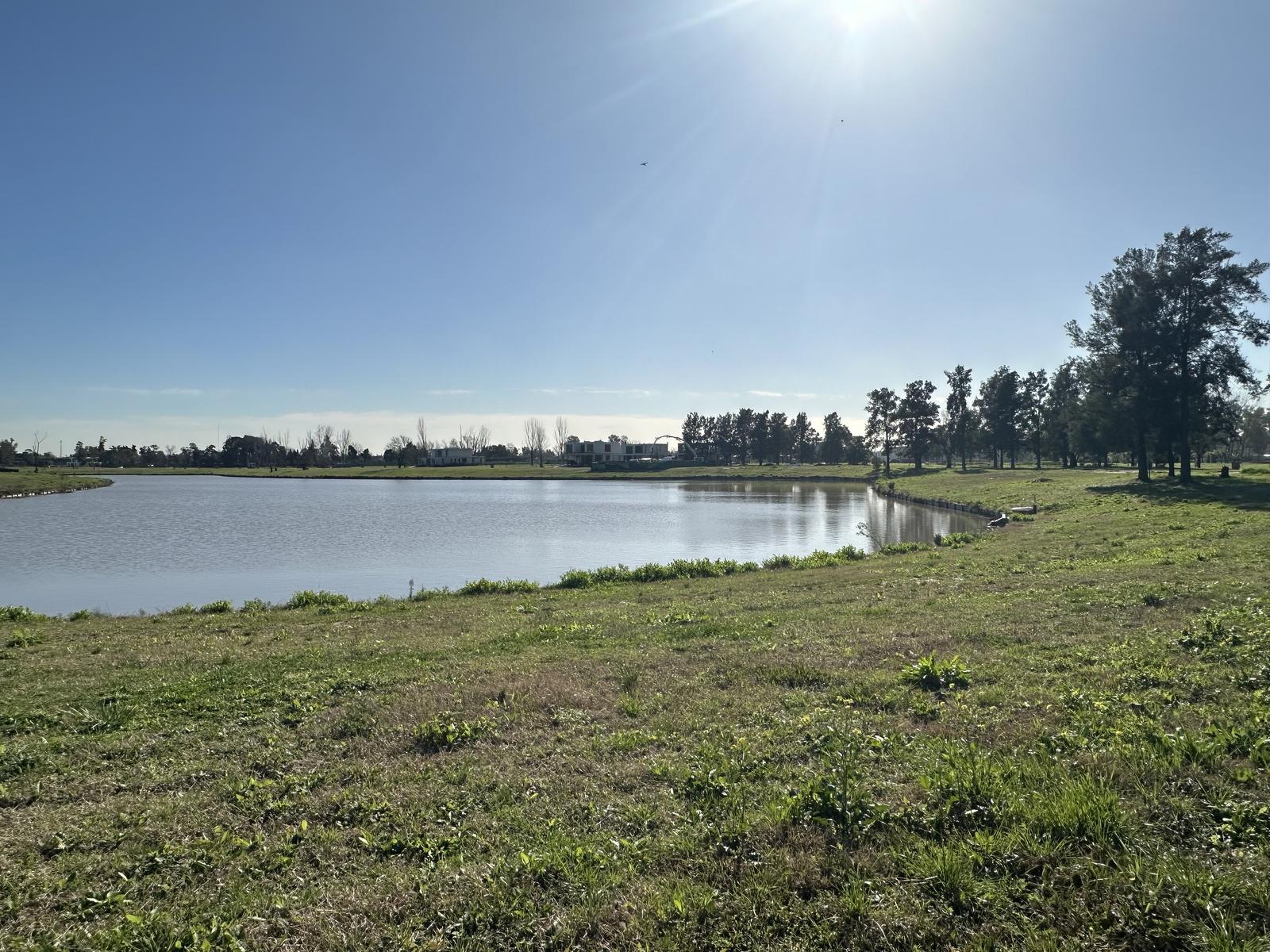 image 23