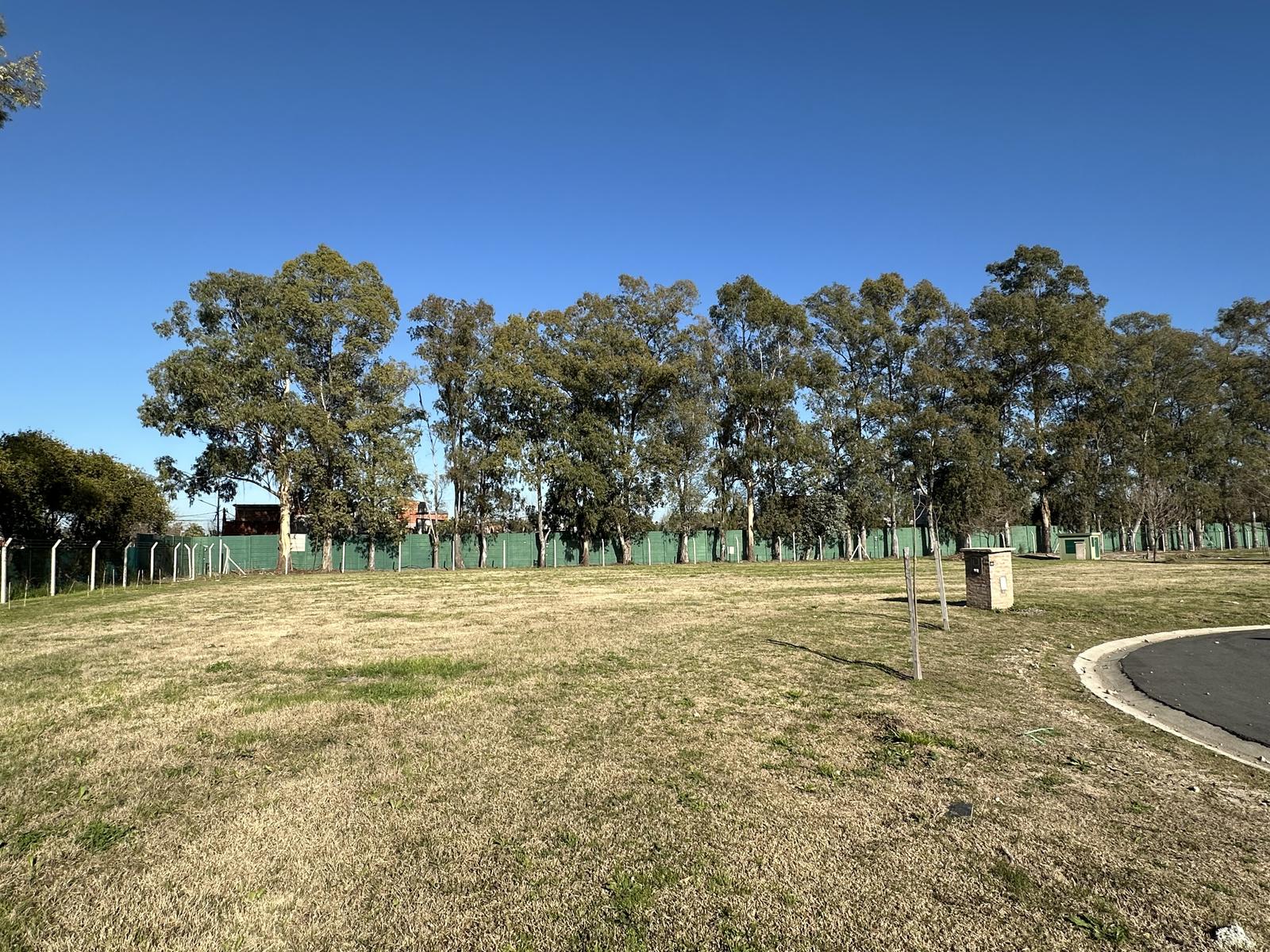 image 30