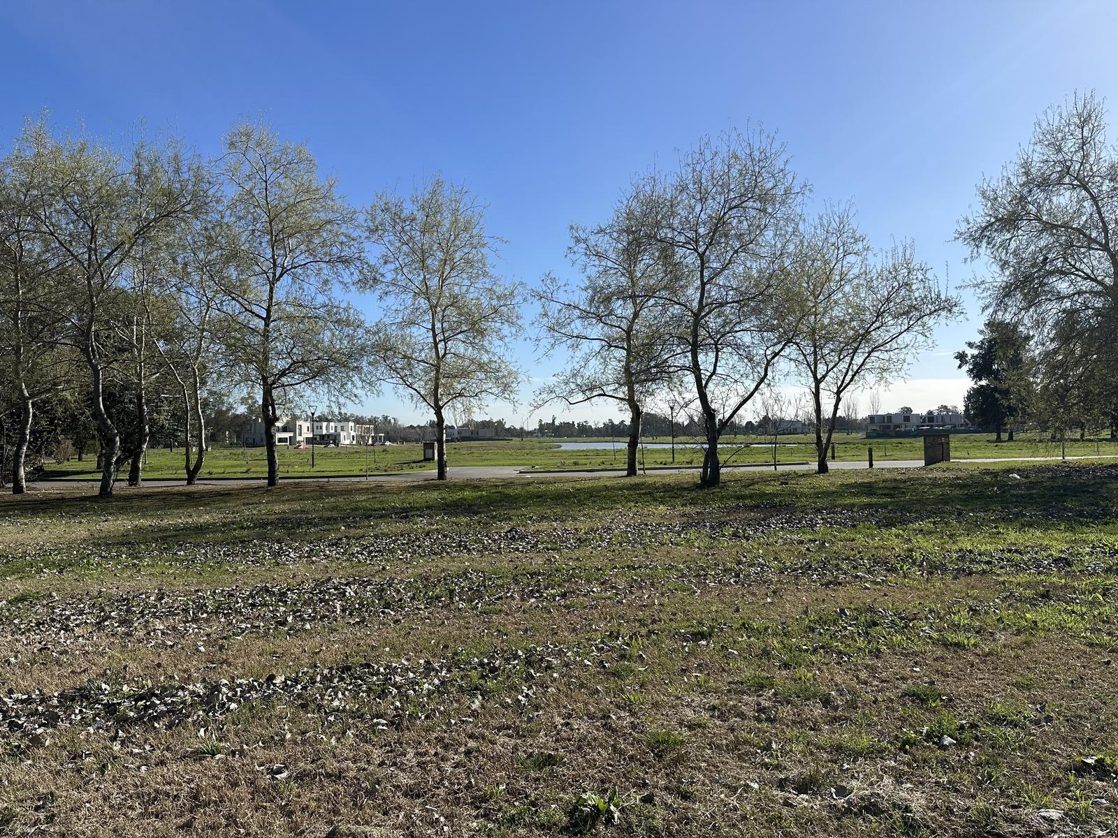 image 30