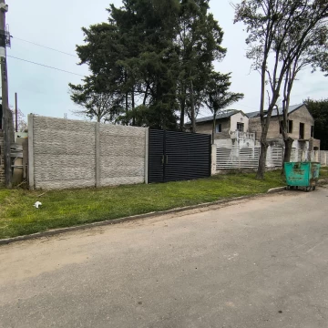 1786482751.jpg