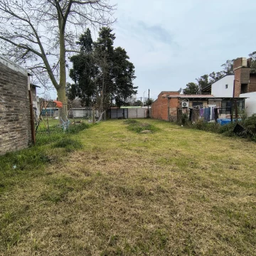 1786482753.jpg