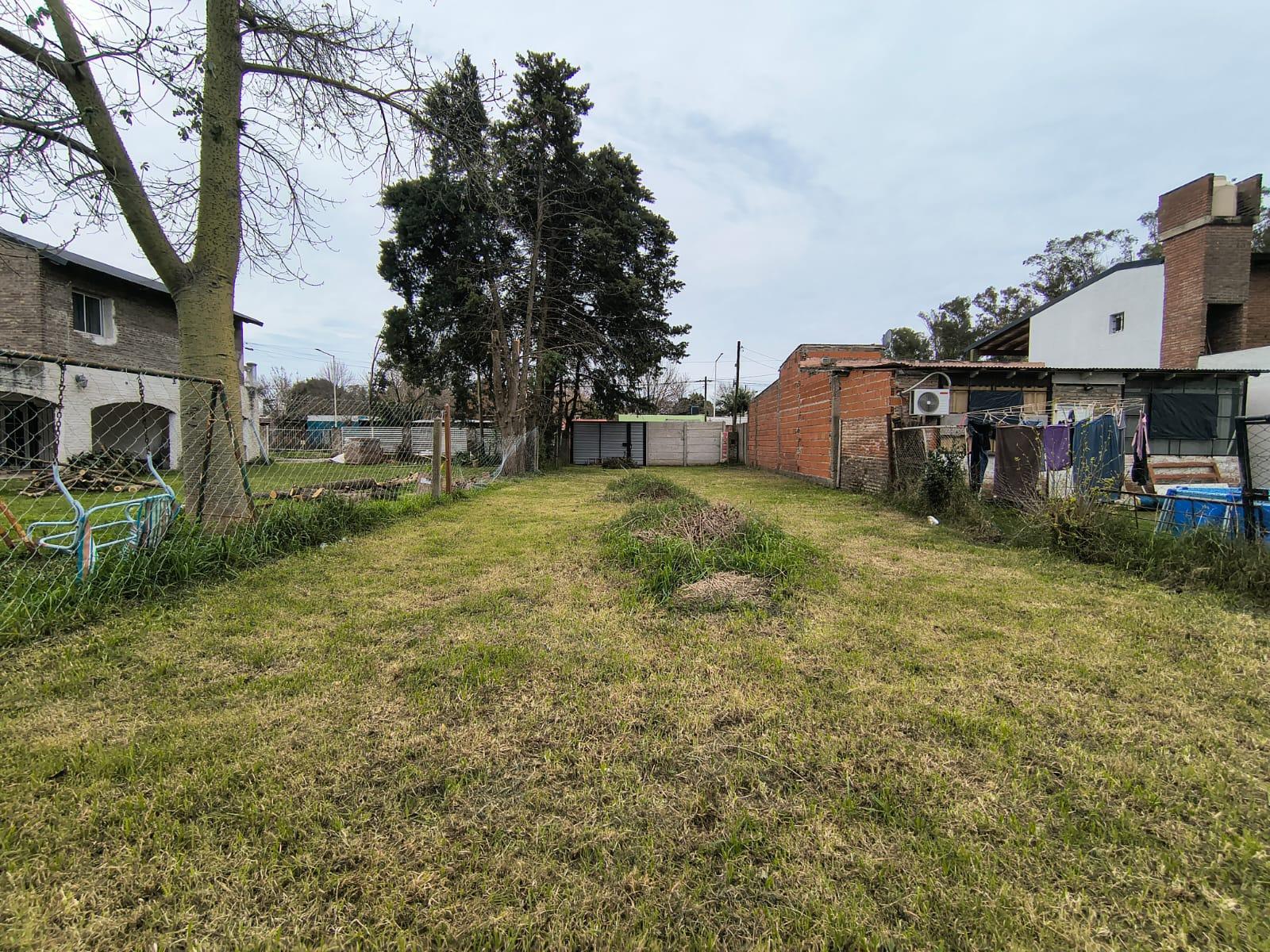 image 13