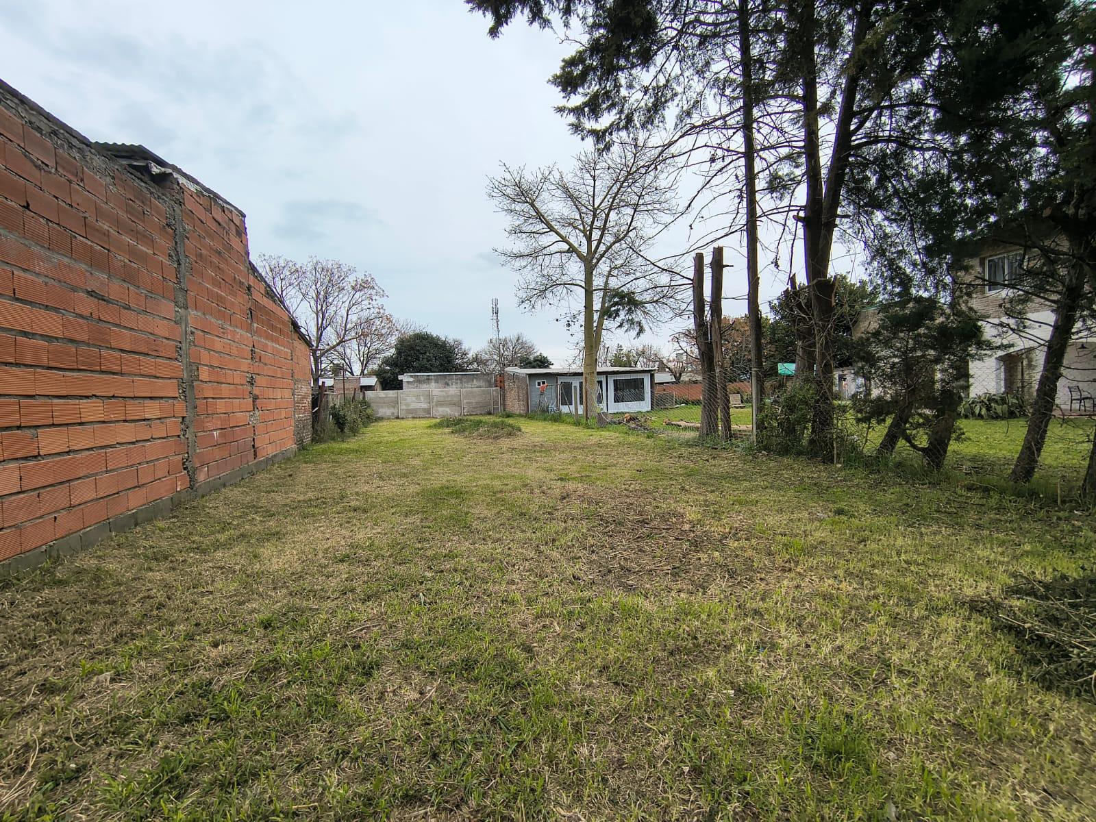 image 14