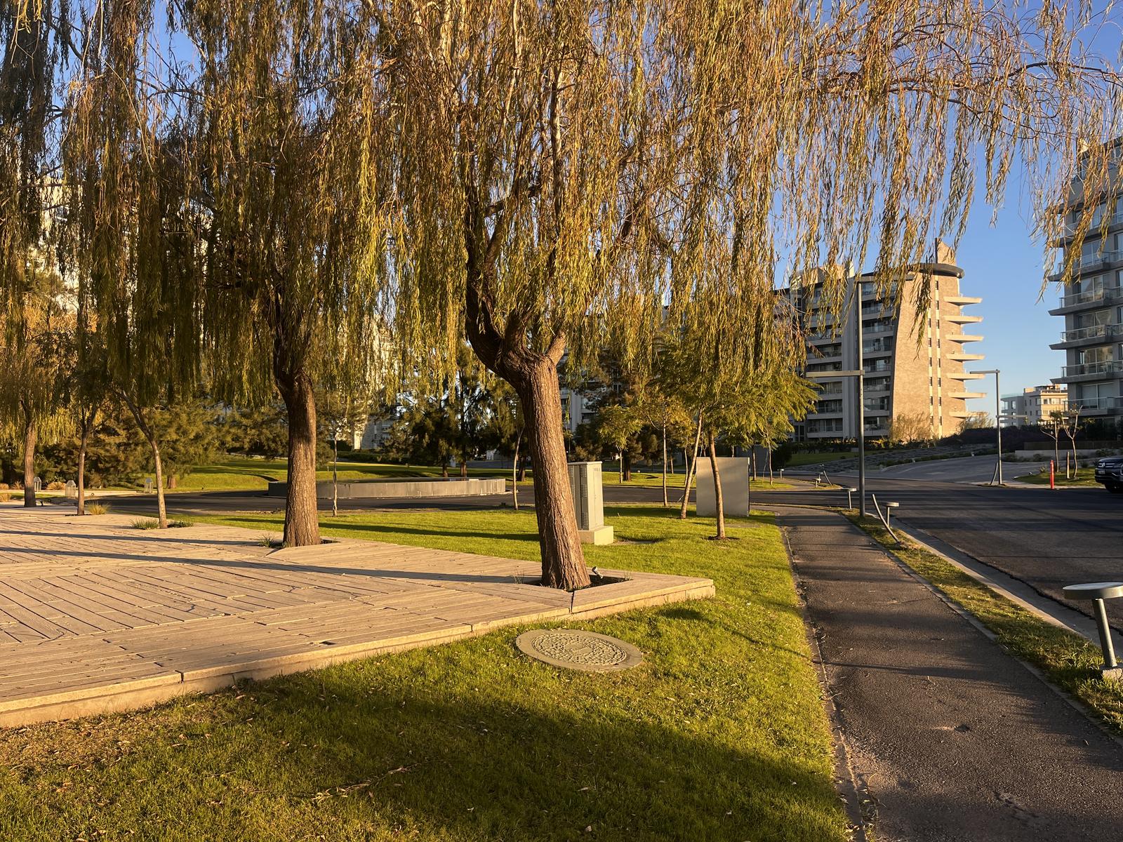 image 16