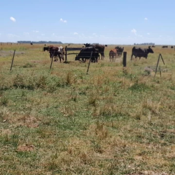 Campo en Dolores
