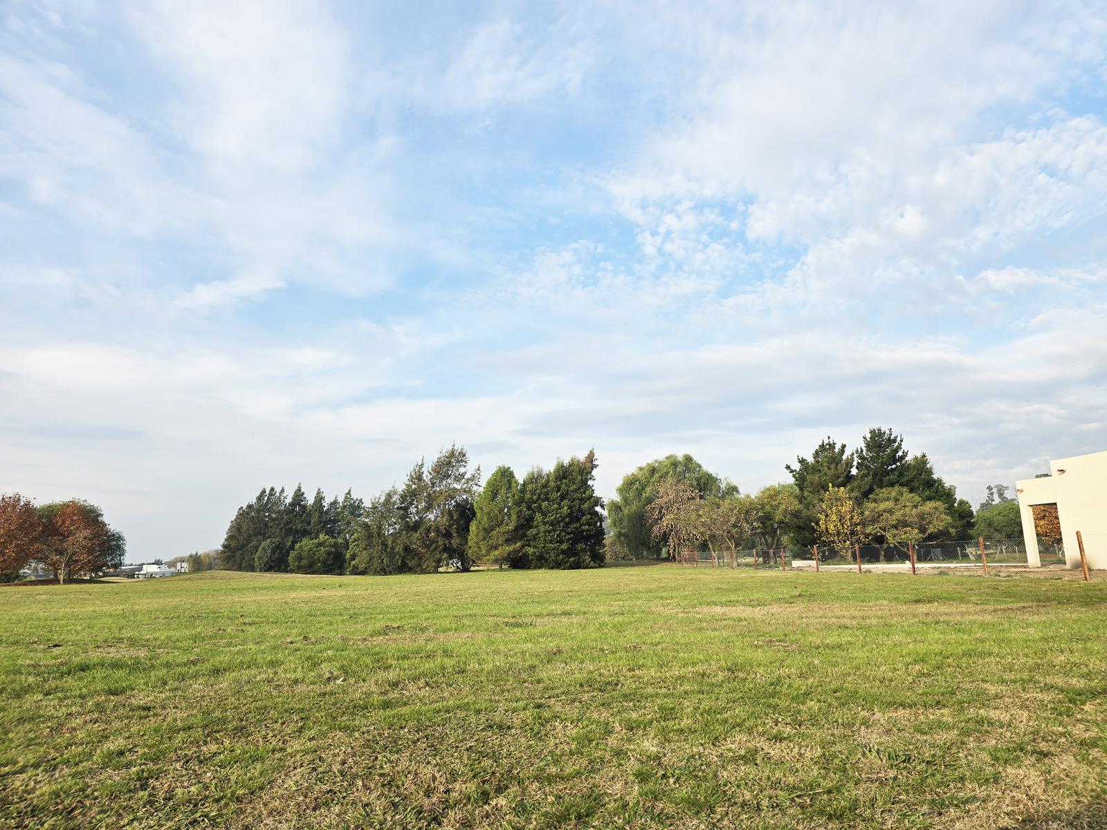 image 41