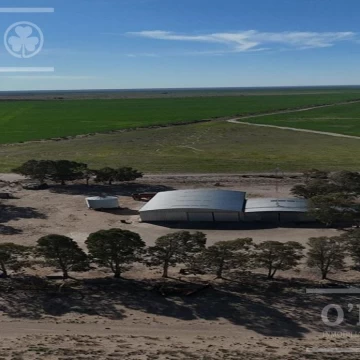Campo mixto en venta 10.000 has en Patagones