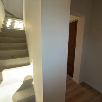 1786547876.jpg