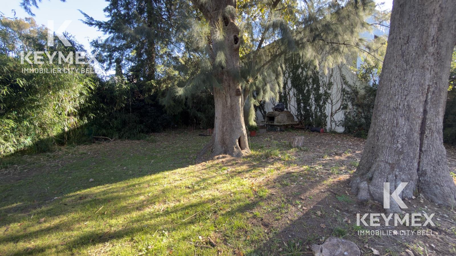 image 33