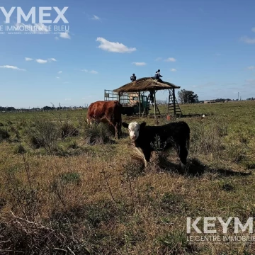Venta de Terreno  en Virrey Del Pino 