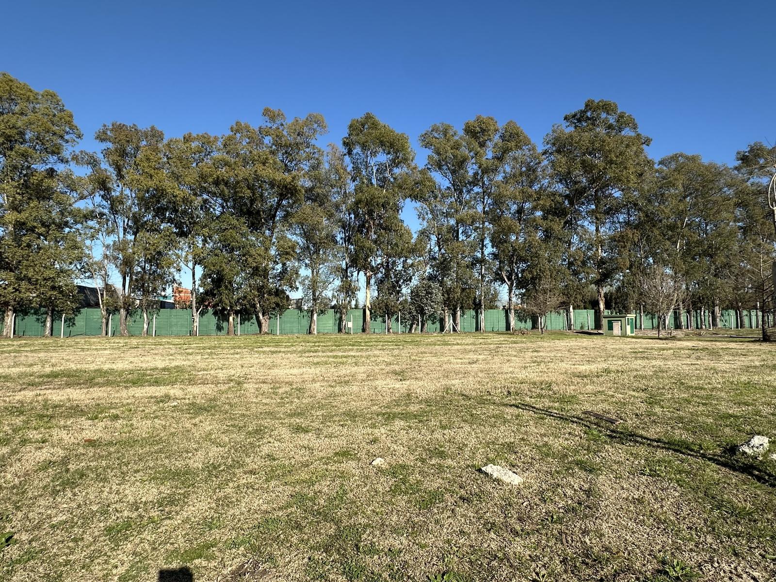 image 60