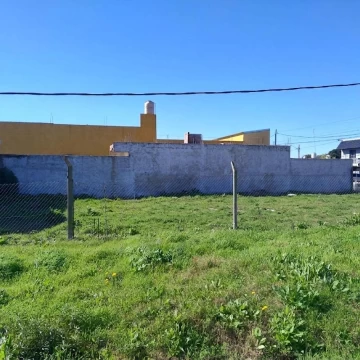 1786559048.jpg