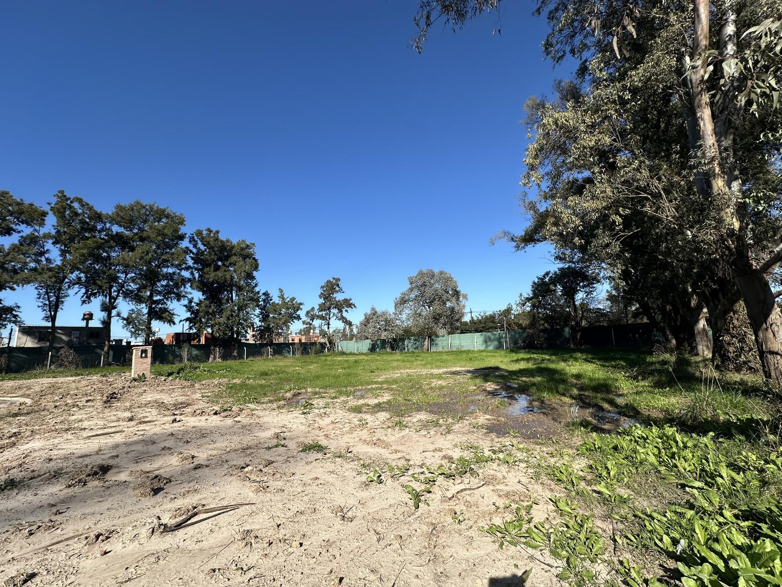 image 49