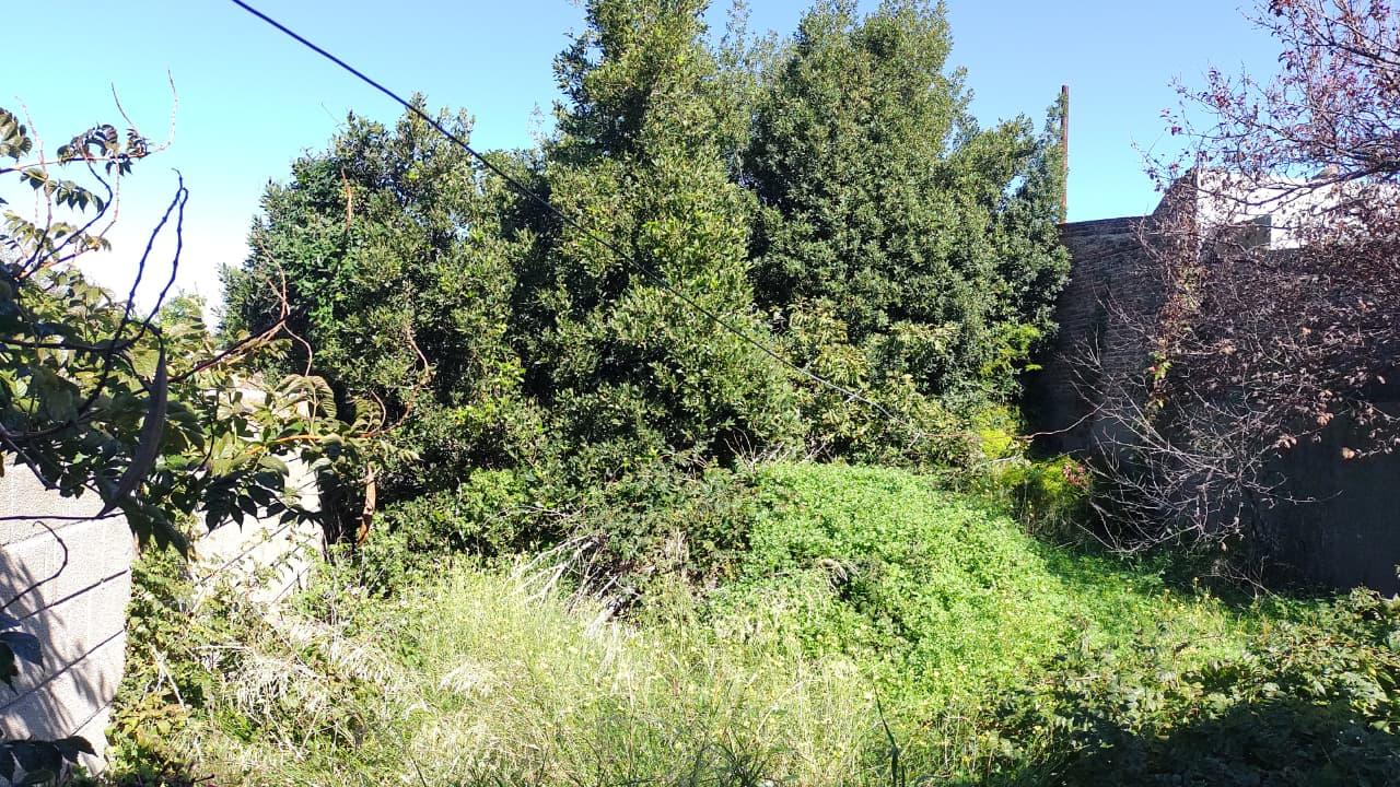image 35