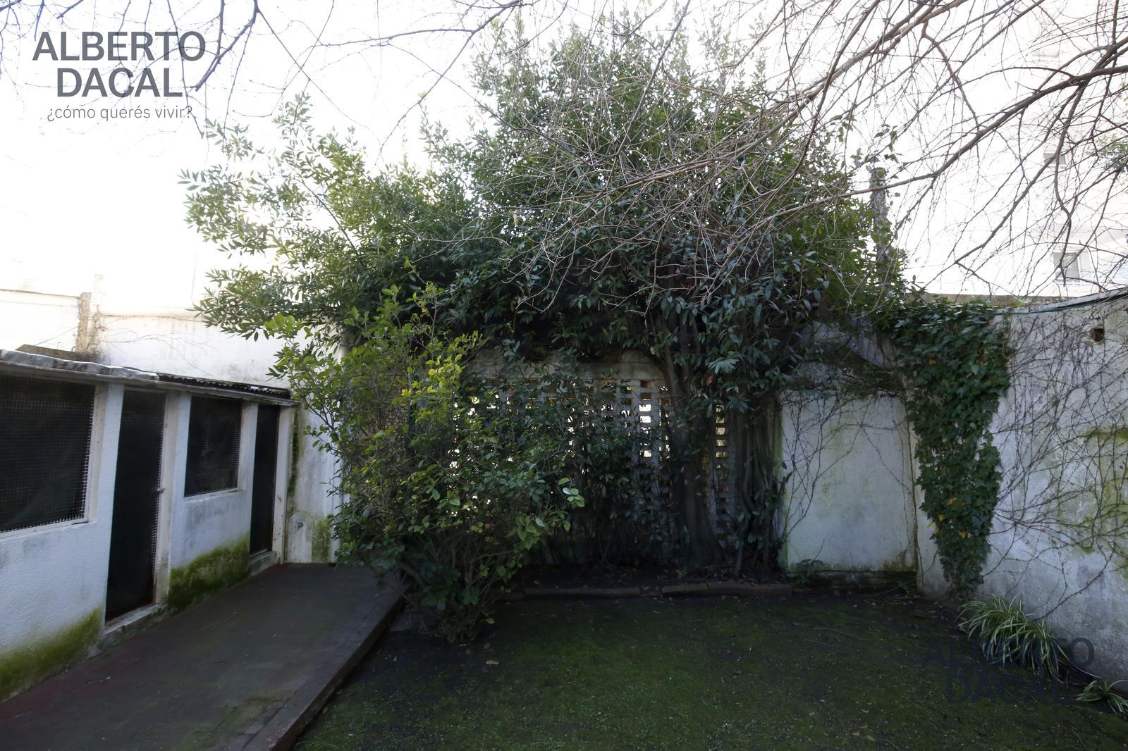 image 36
