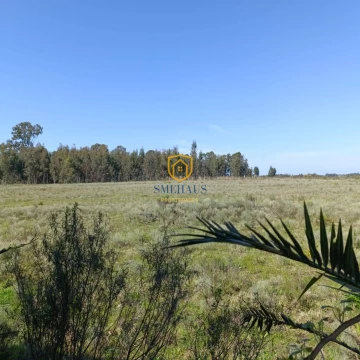 Campo en venta en Joaquín Suárez con 17 Has