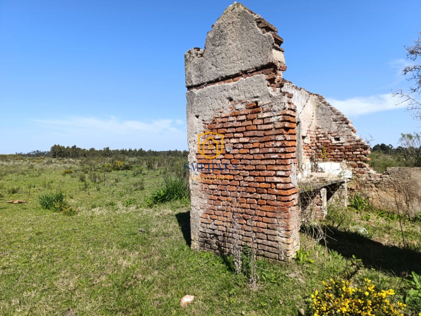 image 14