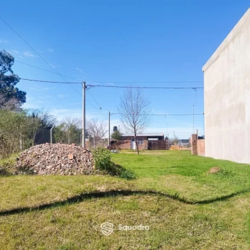 1786569174.jpg
