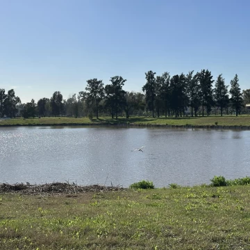 Terreno - Azzurra Tortugas