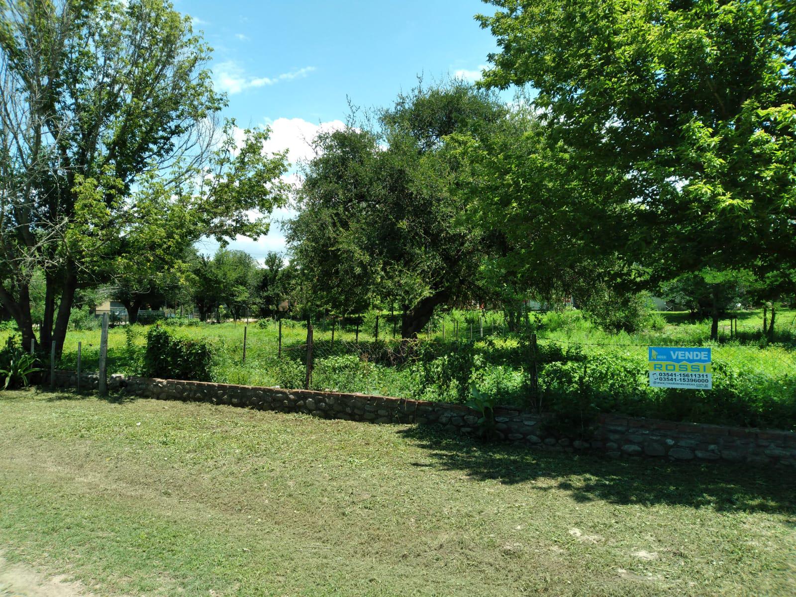 image 16
